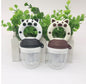 Baby Fruit Feeder Pacifier